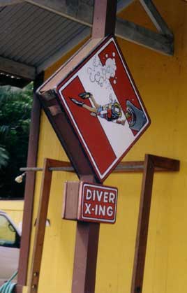 Diver Xing