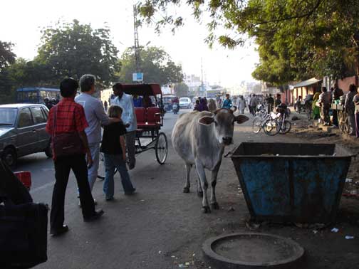 Hugh and Alex walking down the street in Jaipur.
