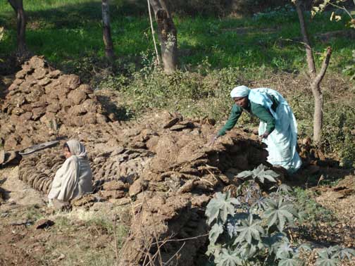 Two women making cow dung patties.