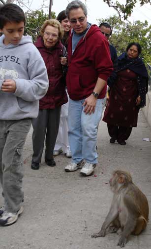 David, Horty, Hugh, monkey.